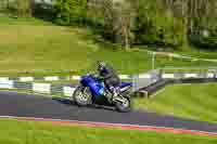 cadwell-no-limits-trackday;cadwell-park;cadwell-park-photographs;cadwell-trackday-photographs;enduro-digital-images;event-digital-images;eventdigitalimages;no-limits-trackdays;peter-wileman-photography;racing-digital-images;trackday-digital-images;trackday-photos